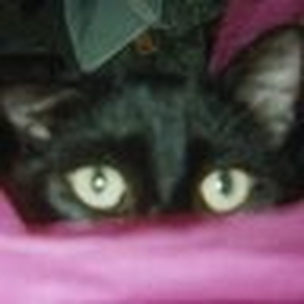 Meet your Posher, Nancy